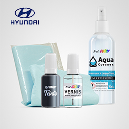 Stylo retouche peinture voiture Hyundai 20ml TAK - Livraison offerte